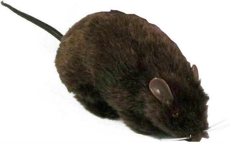 Furry Black Fake Rat Prop Scary Prank Mouse