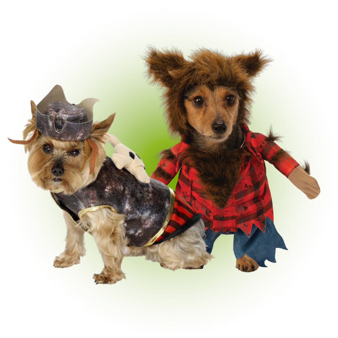 Dog Costumes