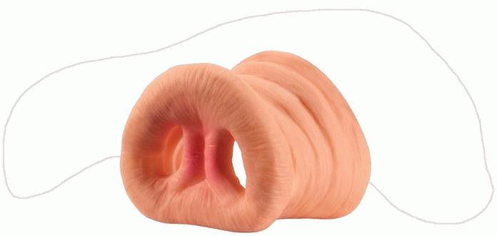 14 Hog Pig Swine Boar Costume Nose Noses Little Piggies