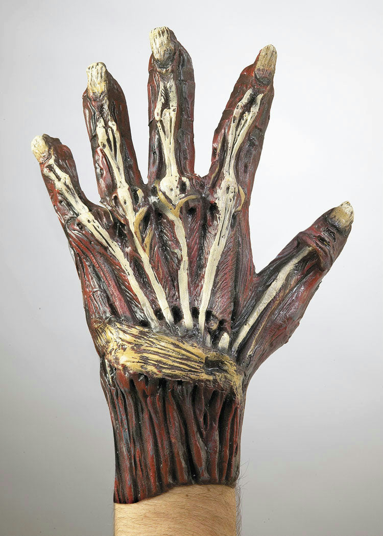 Ghoulish Adult Vinyl Exposed Bone and Muscle Costume Gloves with Rotted Nails