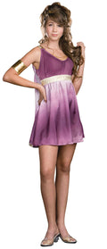 Dreamgirl Girl's Gorgeous Grecian Goddess Purple Ombre Costume Dress Teen XS 0-1