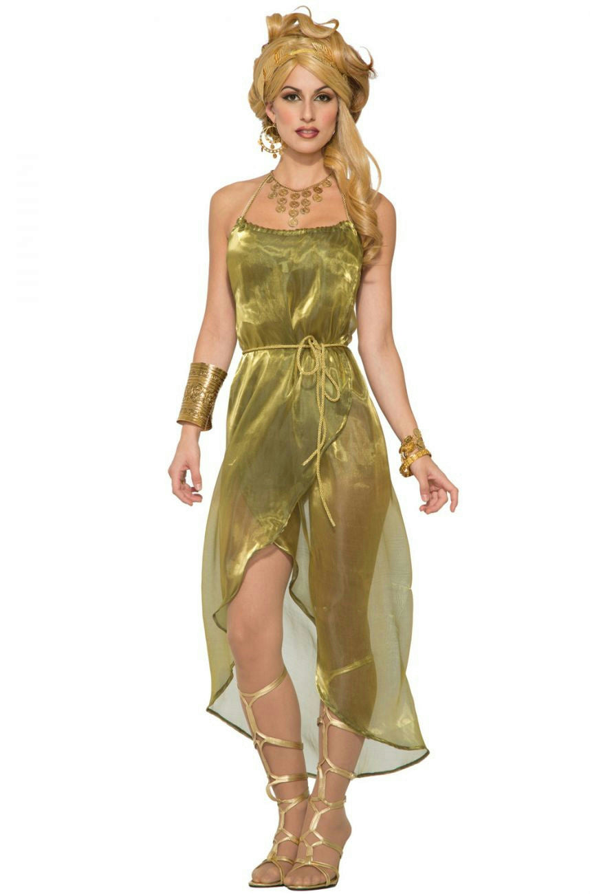 Gold Roman Toga Adult Costume Dress