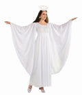 Angel White Adult Dress and Halo Standard Size Costume