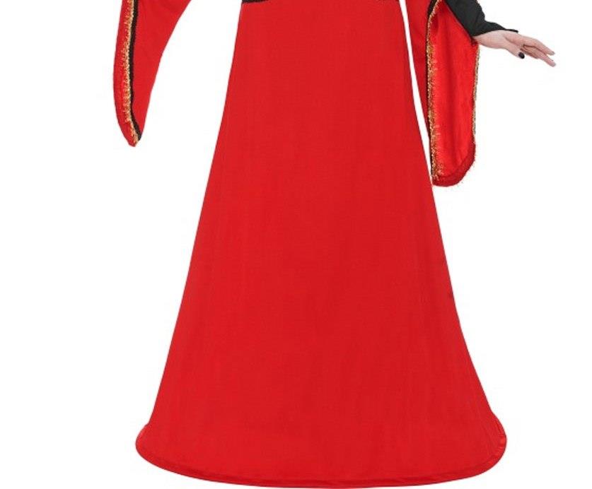 Haunted Court Lady Assassin in Waiting Adult Costume Size Small 6-8