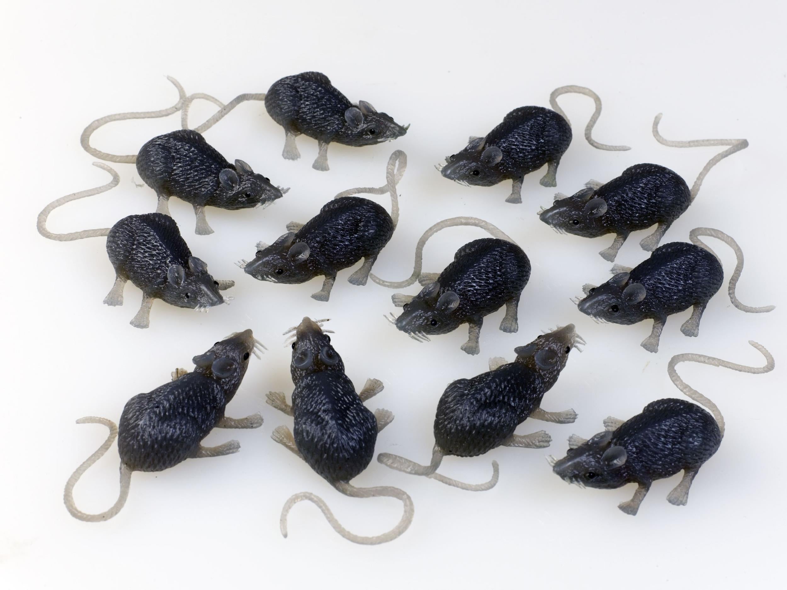 FunWorld Creepy Gray Rubber Mouse Prank Rat Lot - Mice Lot of 12 MICE