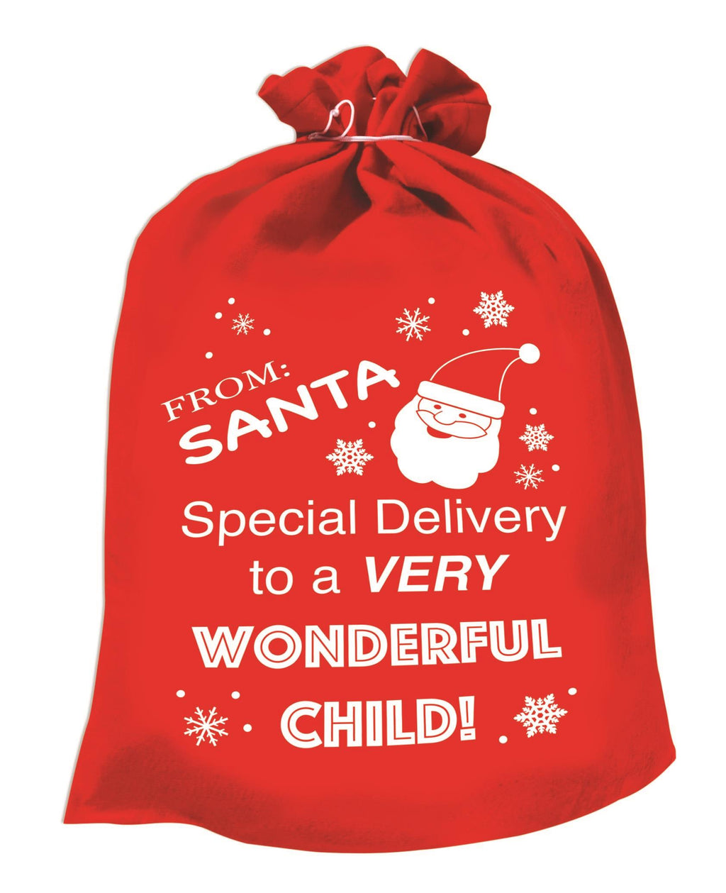Special Delivery Santa Sack