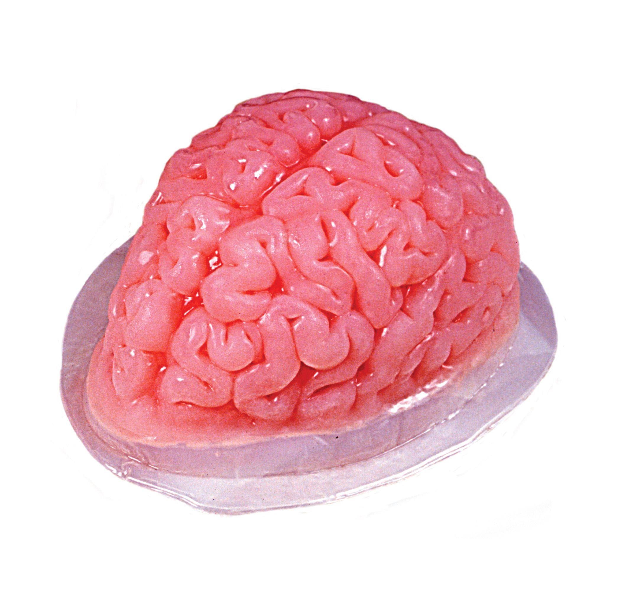 Brain Body Part Gelatin Jello Mold Haunted Halloween House Prop