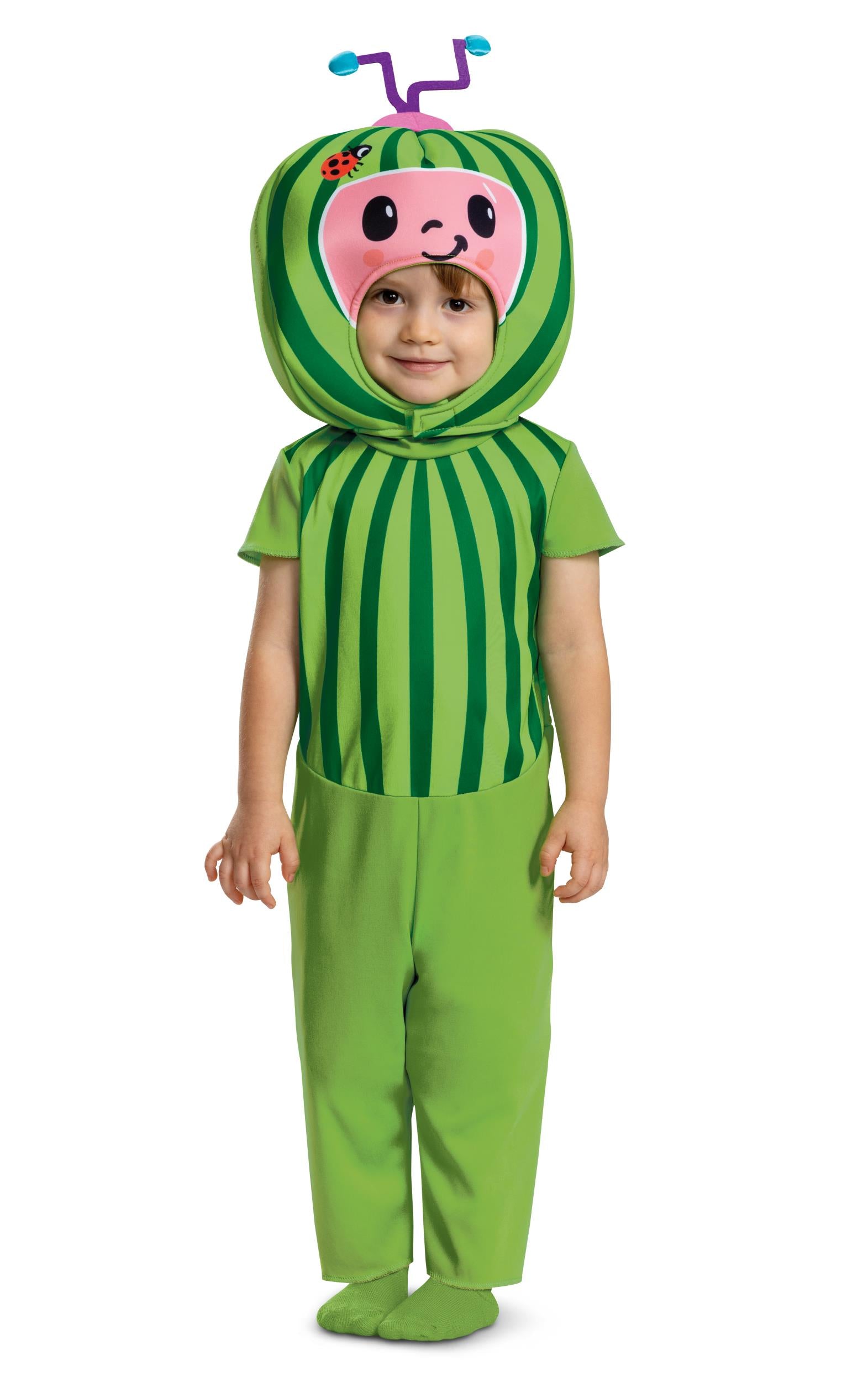 Cocomelon Watermelon Toddler Costume Size 2T