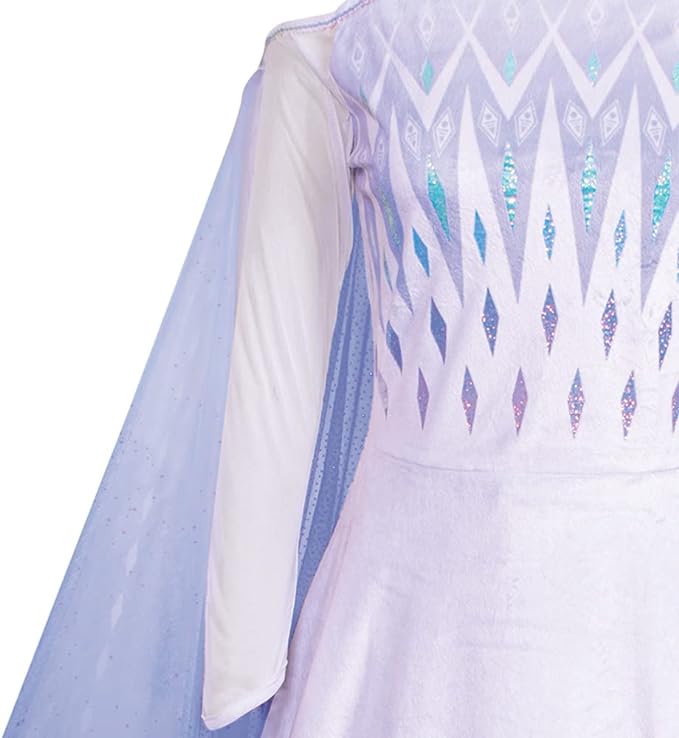 Snow Queen Elsa Frozen Prestige Woman's Costume Adult Small 4-6