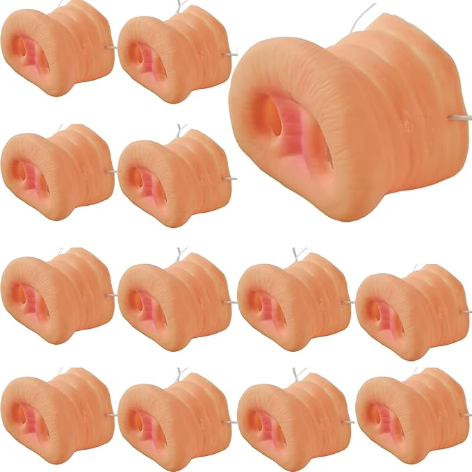 14 Hog Pig Swine Boar Costume Nose Noses Little Piggies