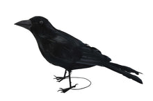 Load image into Gallery viewer, Realistic Giant Black Raven Bird Prop
