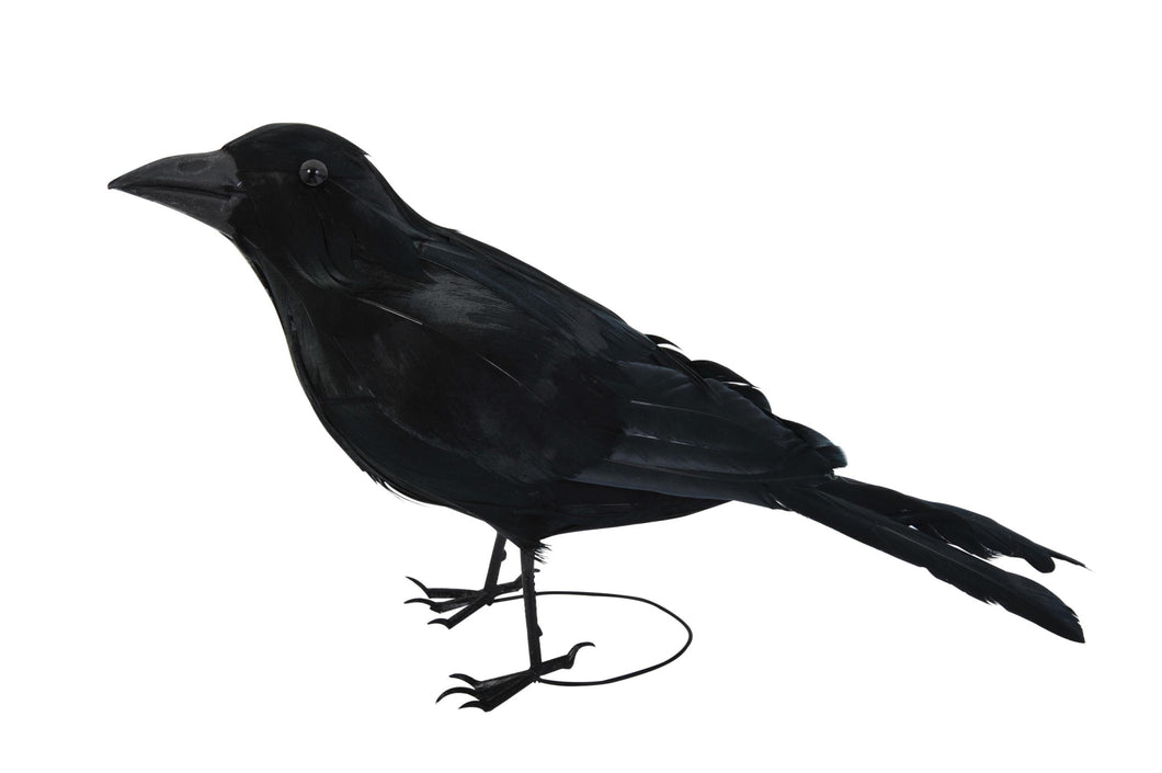 Realistic Giant Black Raven Bird Prop