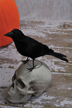 Load image into Gallery viewer, Realistic Giant Black Raven Bird Prop
