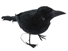 Load image into Gallery viewer, Realistic Giant Black Raven Bird Prop
