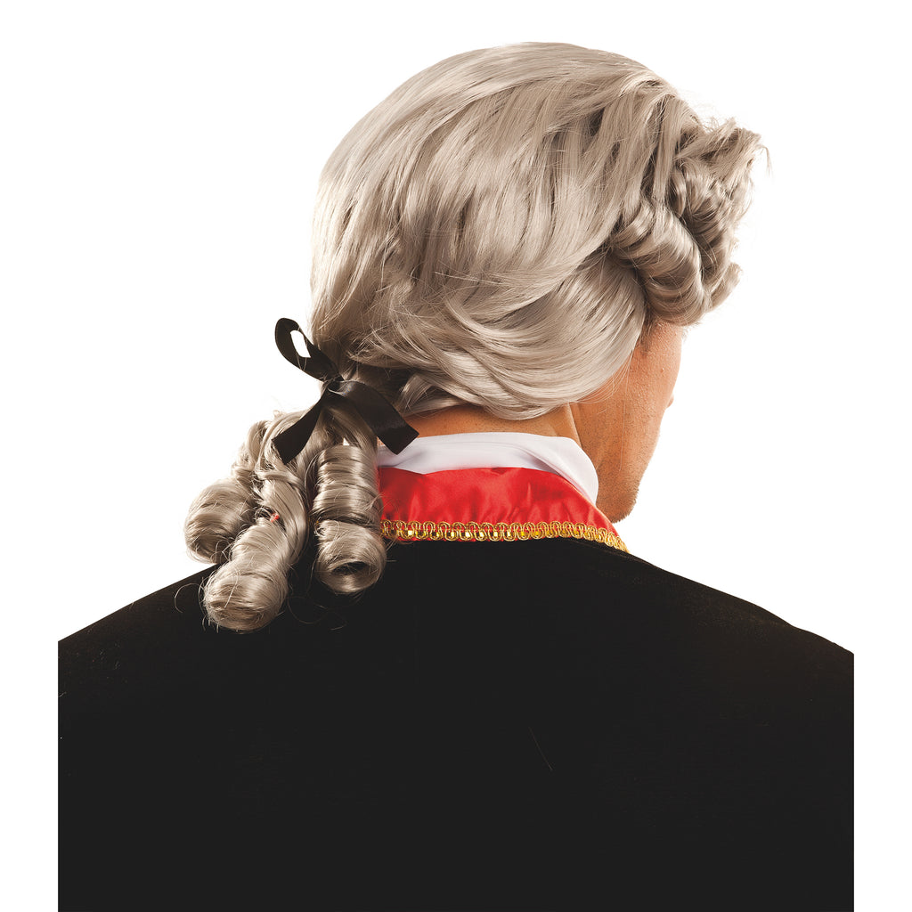 Lord Founding Father George Washington Judge Adult Wig Gray