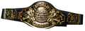 Championship Boxing Champion Wrestling Belt Costume Accessory