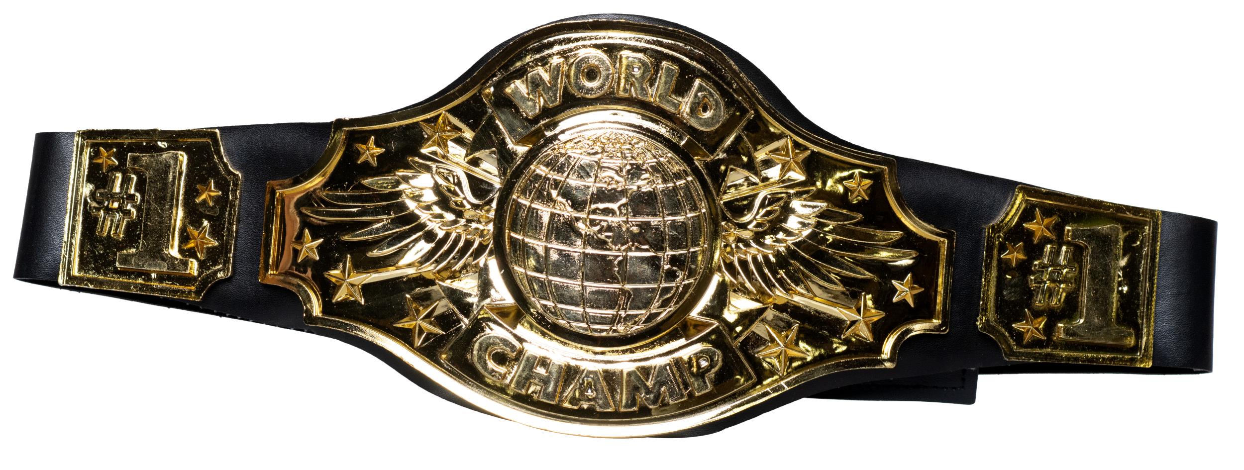 Championship Boxing Champion Wrestling Belt Costume Accessory