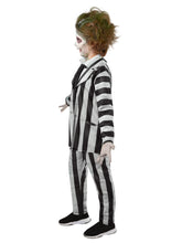 Load image into Gallery viewer, Beetlejuice Suit Kids Costume Size Small 4-6
