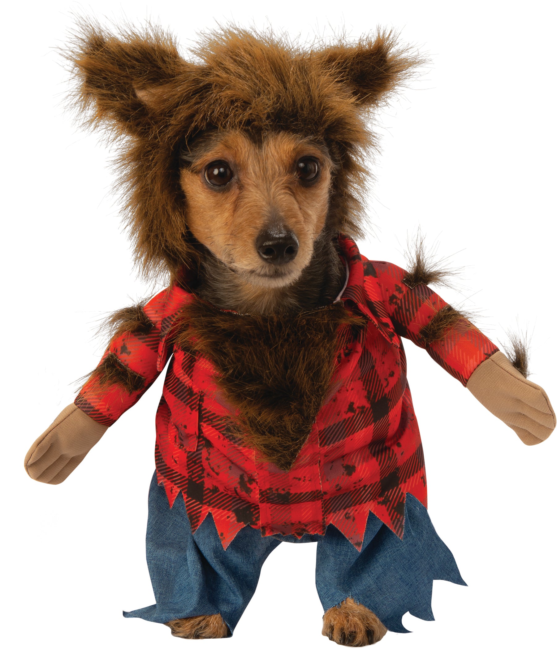 Walking Werewolf Pet Dog Costume Size Small