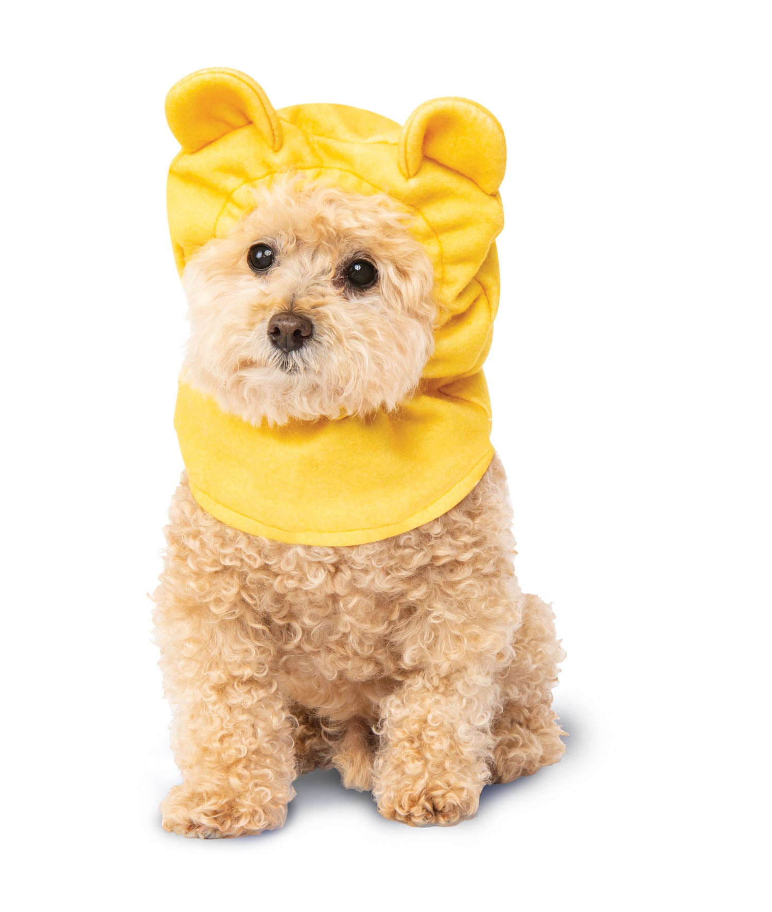 Winnie the Pooh: Pet Costume Headpiece Pooh Bear Small/Medium