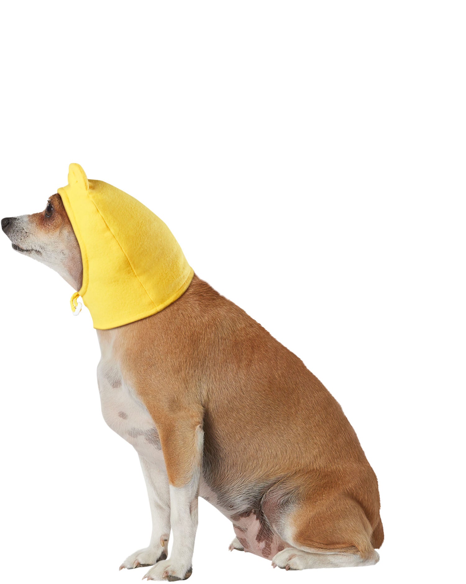 Winnie the Pooh: Pet Costume Headpiece Pooh Bear Small/Medium