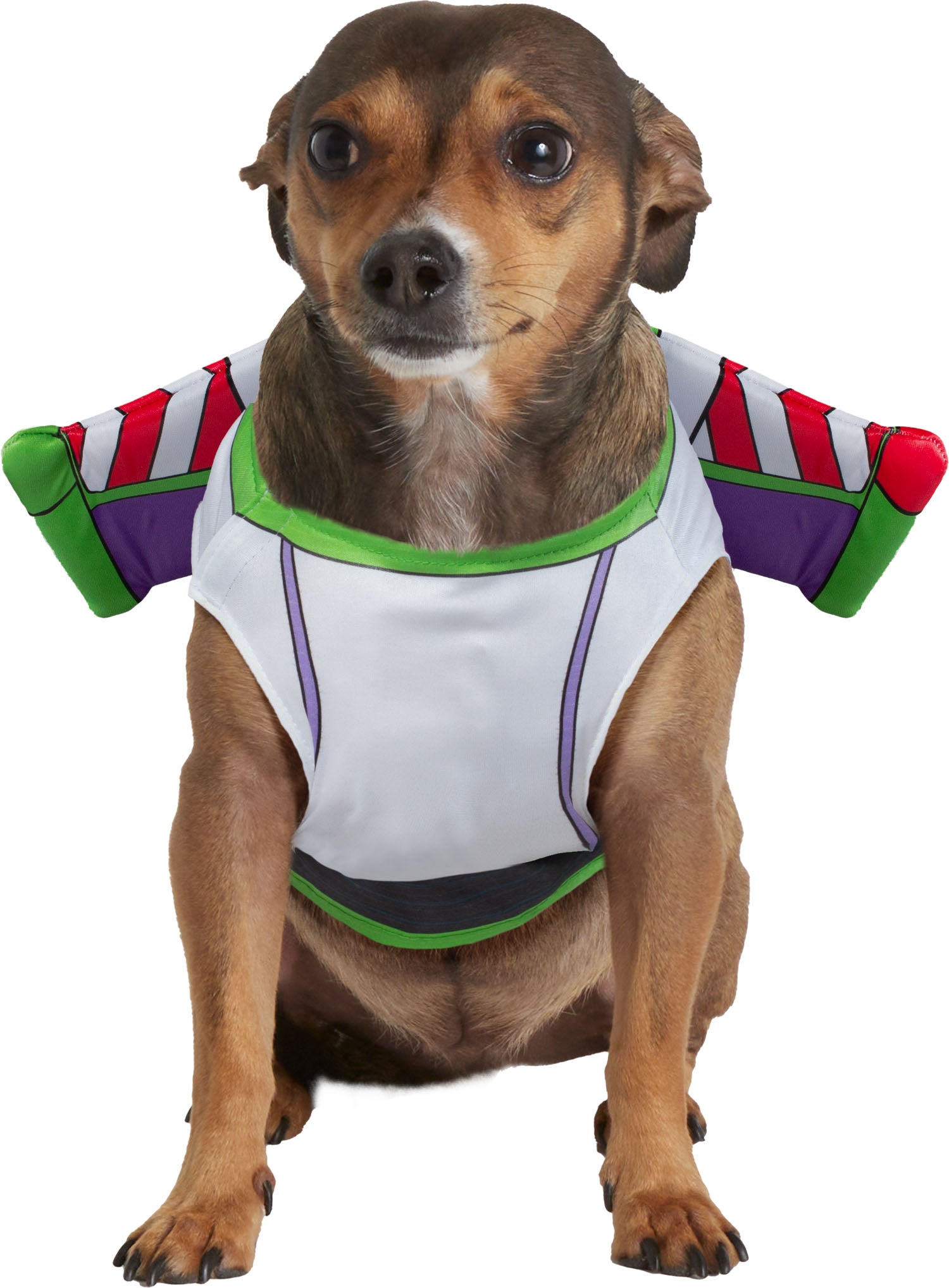 Rubie's Toy Story Buzz Lightyear Pet Accessory & Toy Set Medium/Large