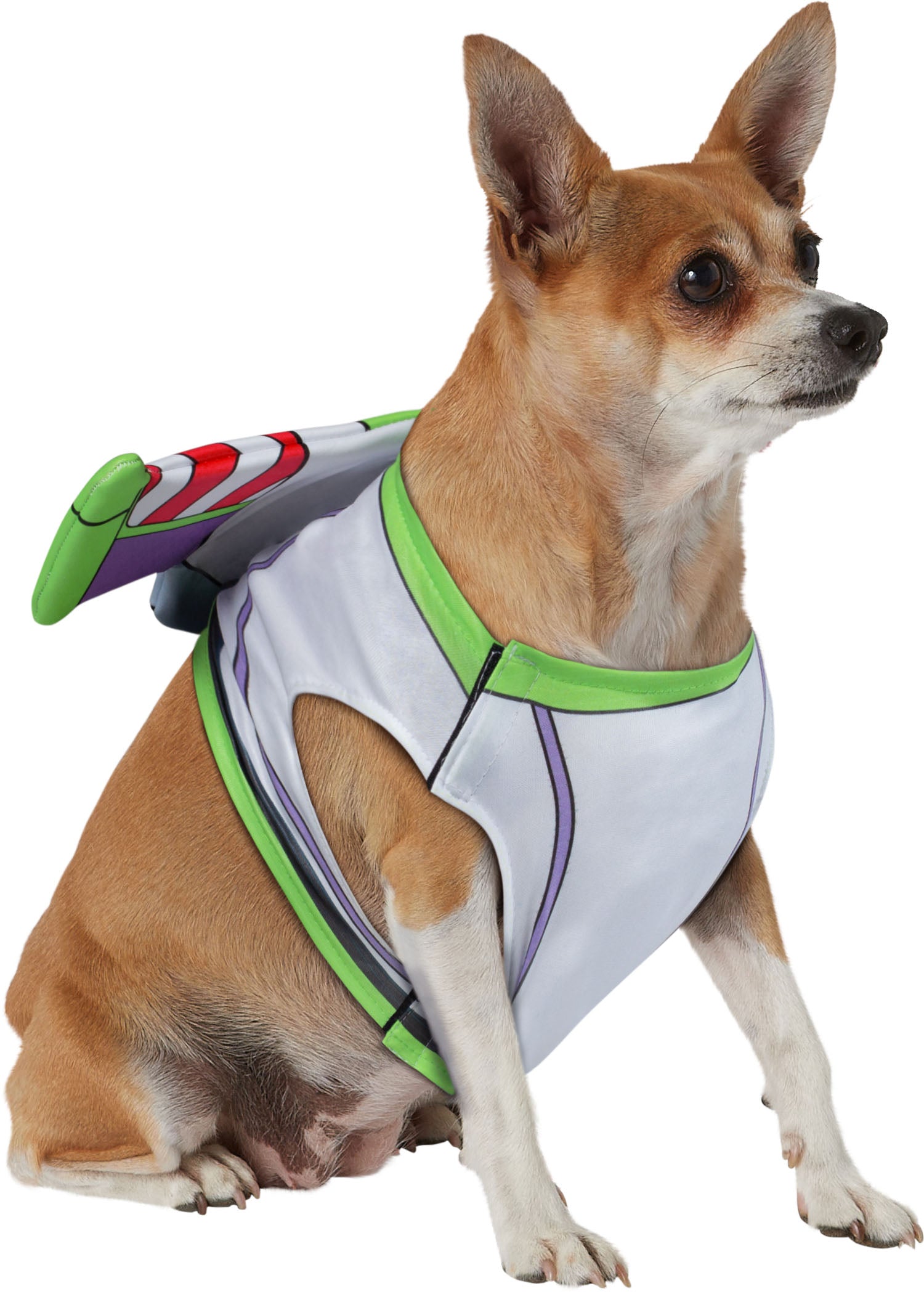 Rubie's Toy Story Buzz Lightyear Pet Accessory & Toy Set Medium/Large