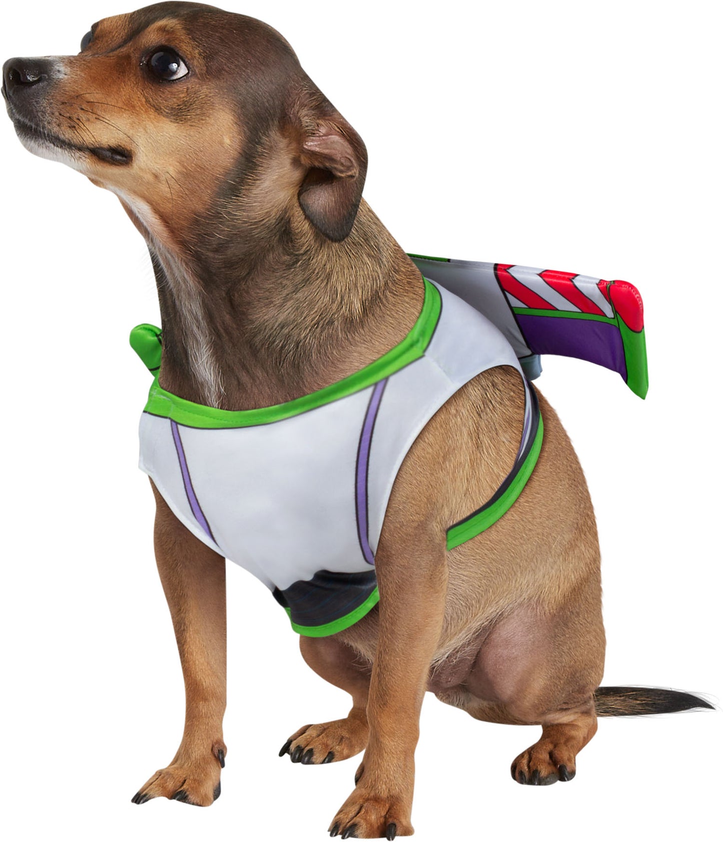 Rubie's Toy Story: Buzz Lightyear Pet Costume Officially Licensed