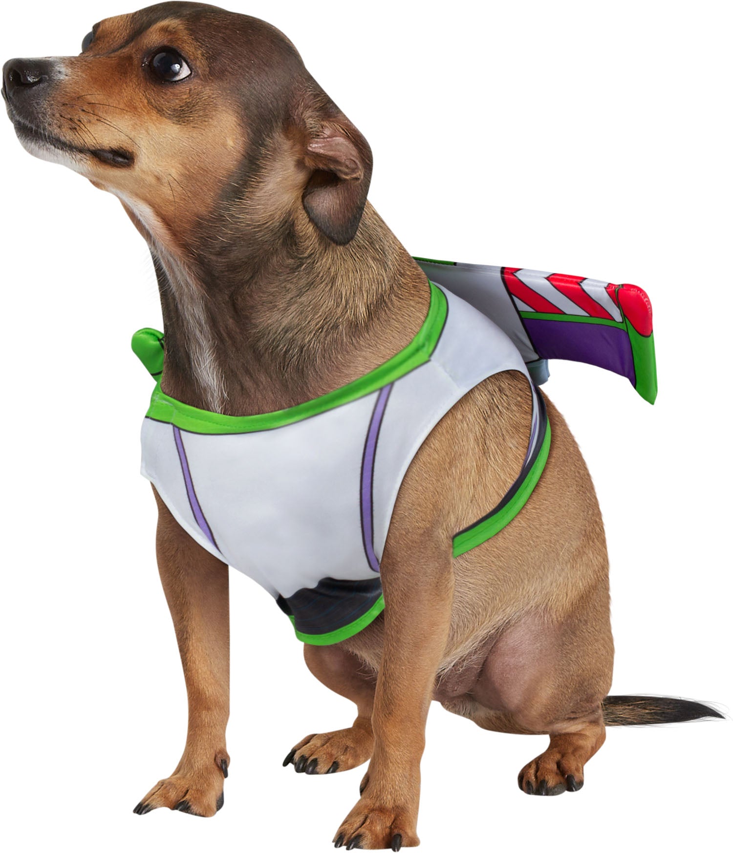 Rubie's Toy Story Buzz Lightyear Pet Accessory & Toy Set Medium/Large