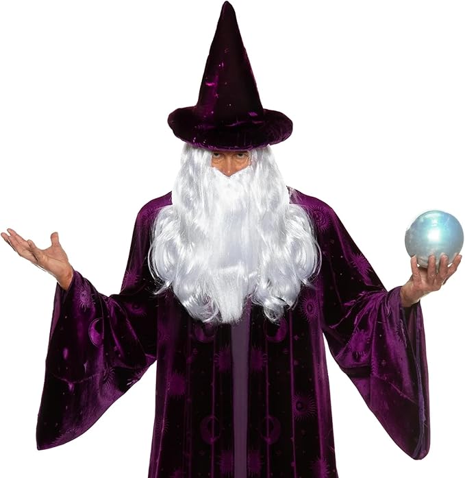 Purple Wizard Midnight Mystic Fantasy Magic Sorcerer Men's Costume