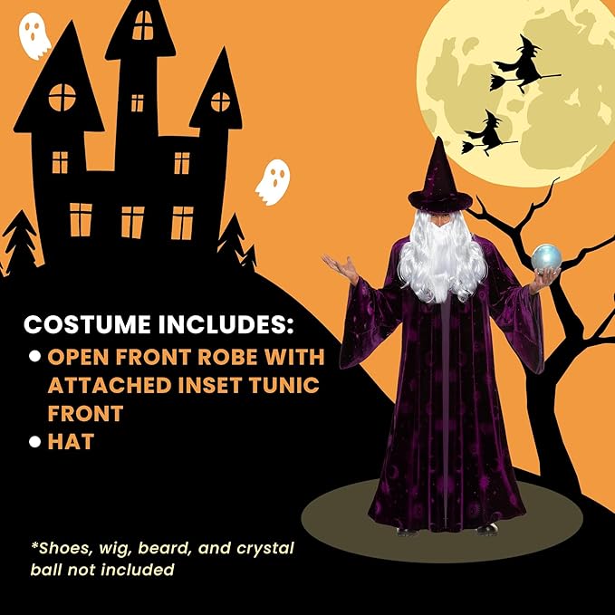 Purple Wizard Midnight Mystic Fantasy Magic Sorcerer Men's Costume