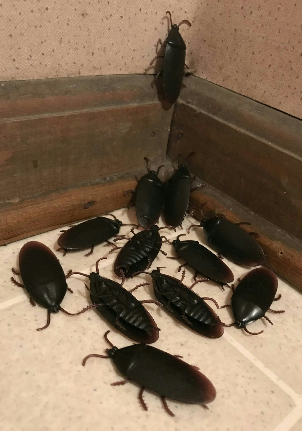 12 count Fake Cockroaches Realistic looking Rubber Roach Gag Joke Prank