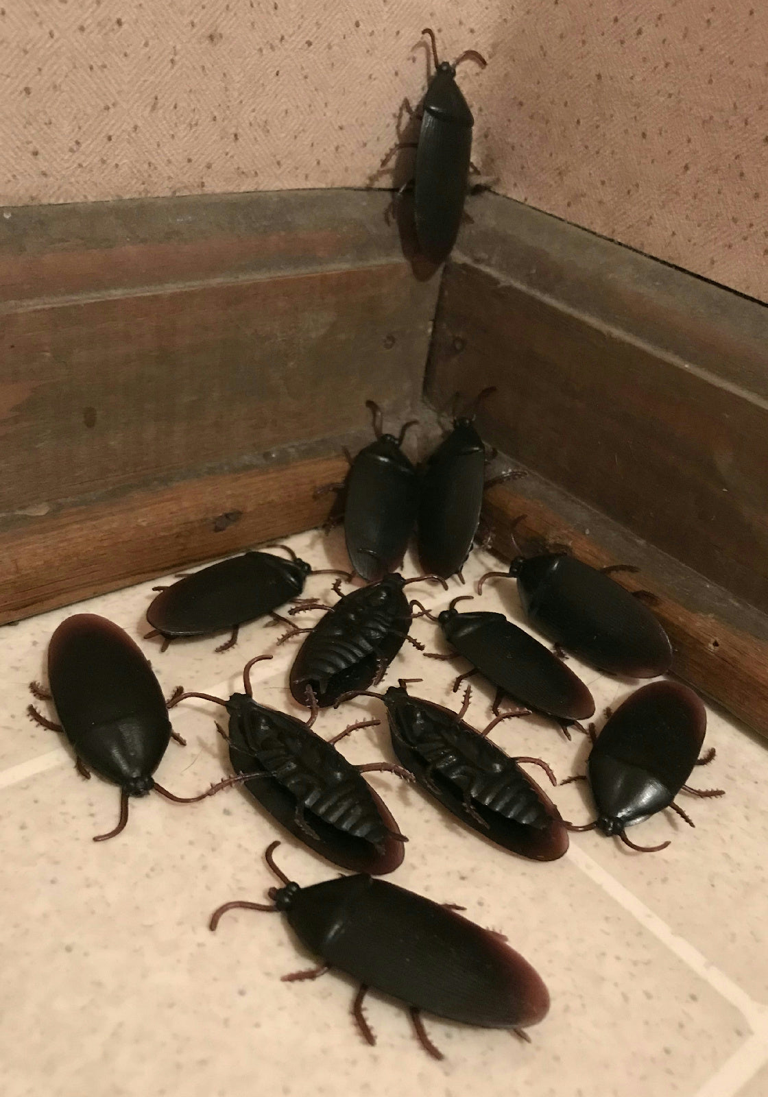 12 count Fake Cockroaches Realistic looking Rubber Roach Gag Joke Prank