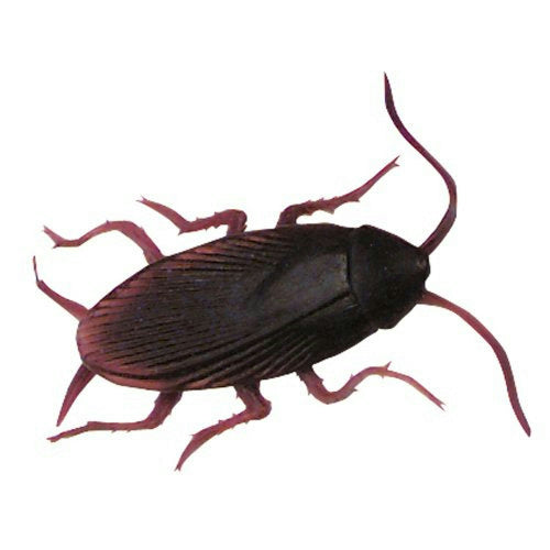 Fake Cockroaches Realistic-looking Rubber Roach top view