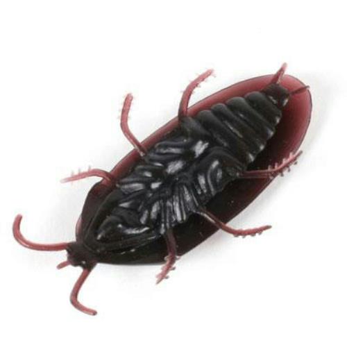 Fake Cockroaches Realistic looking Rubber Roach underside