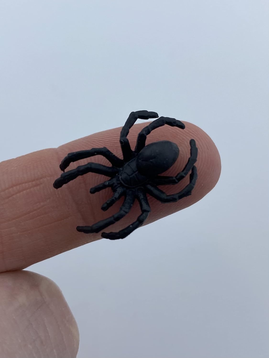small black spider inside bath bomb