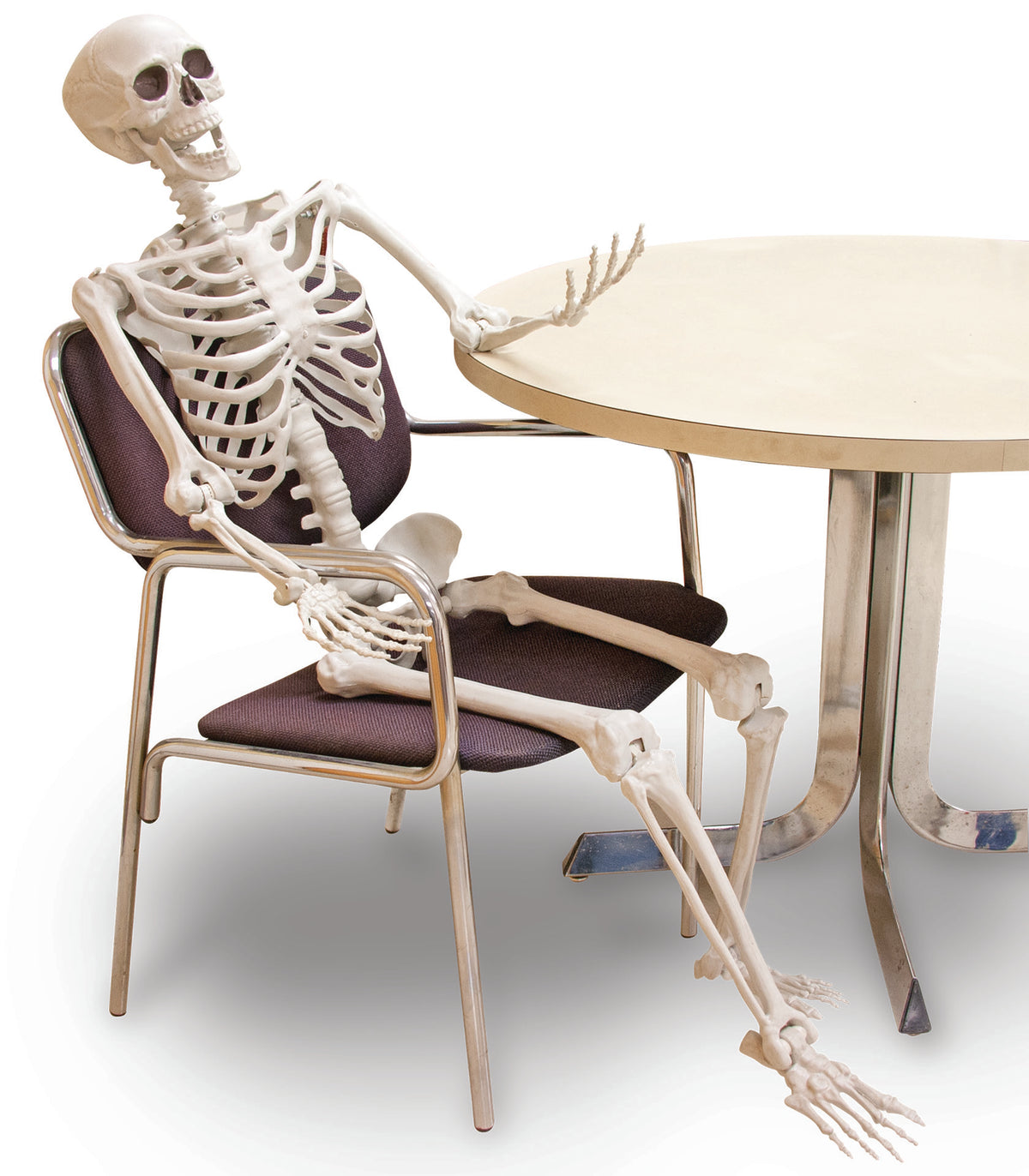 5 Foot Full Size Posable Skeleton Halloween Decoration