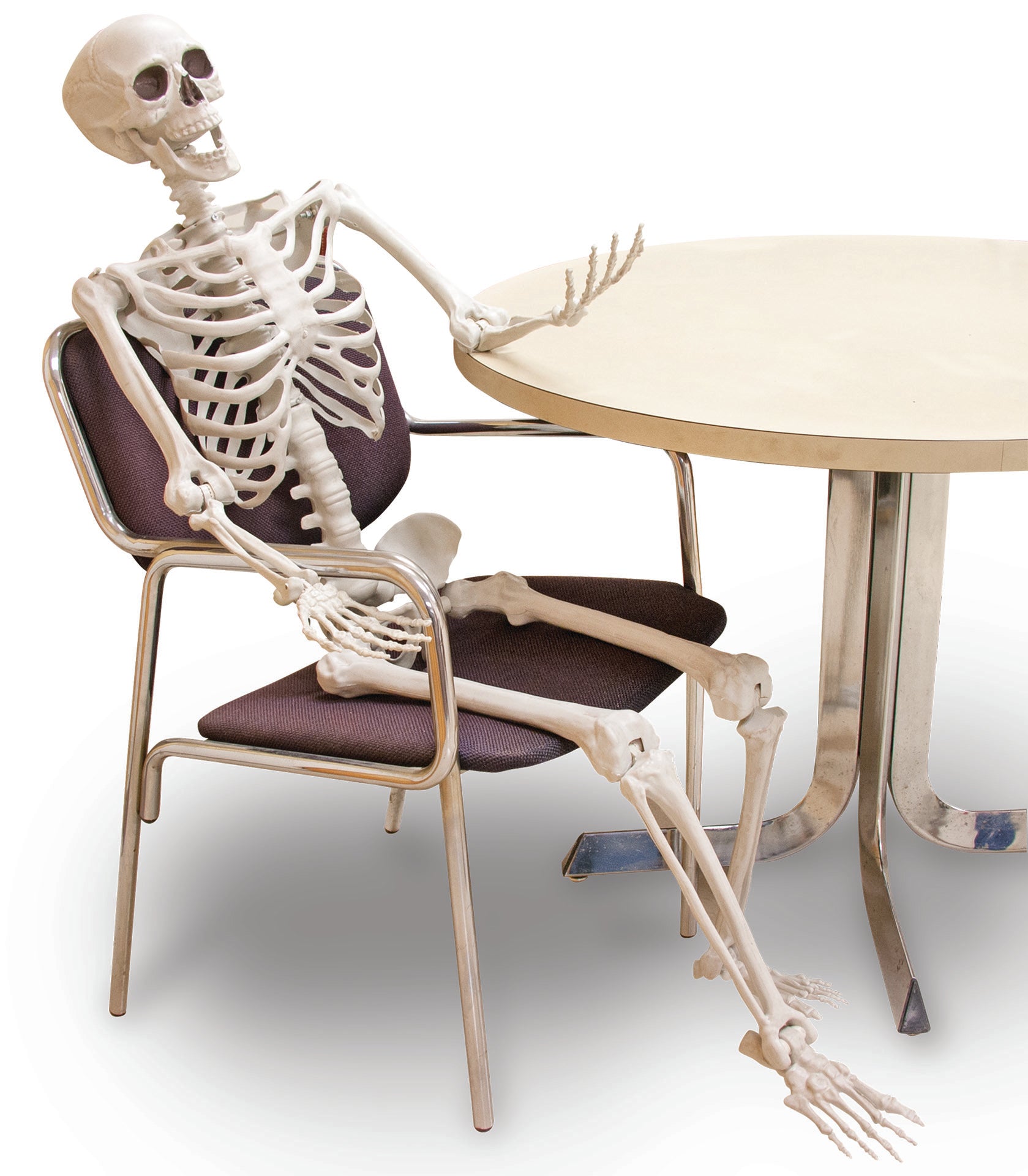 5 Foot Full Size Posable Skeleton Halloween Decoration