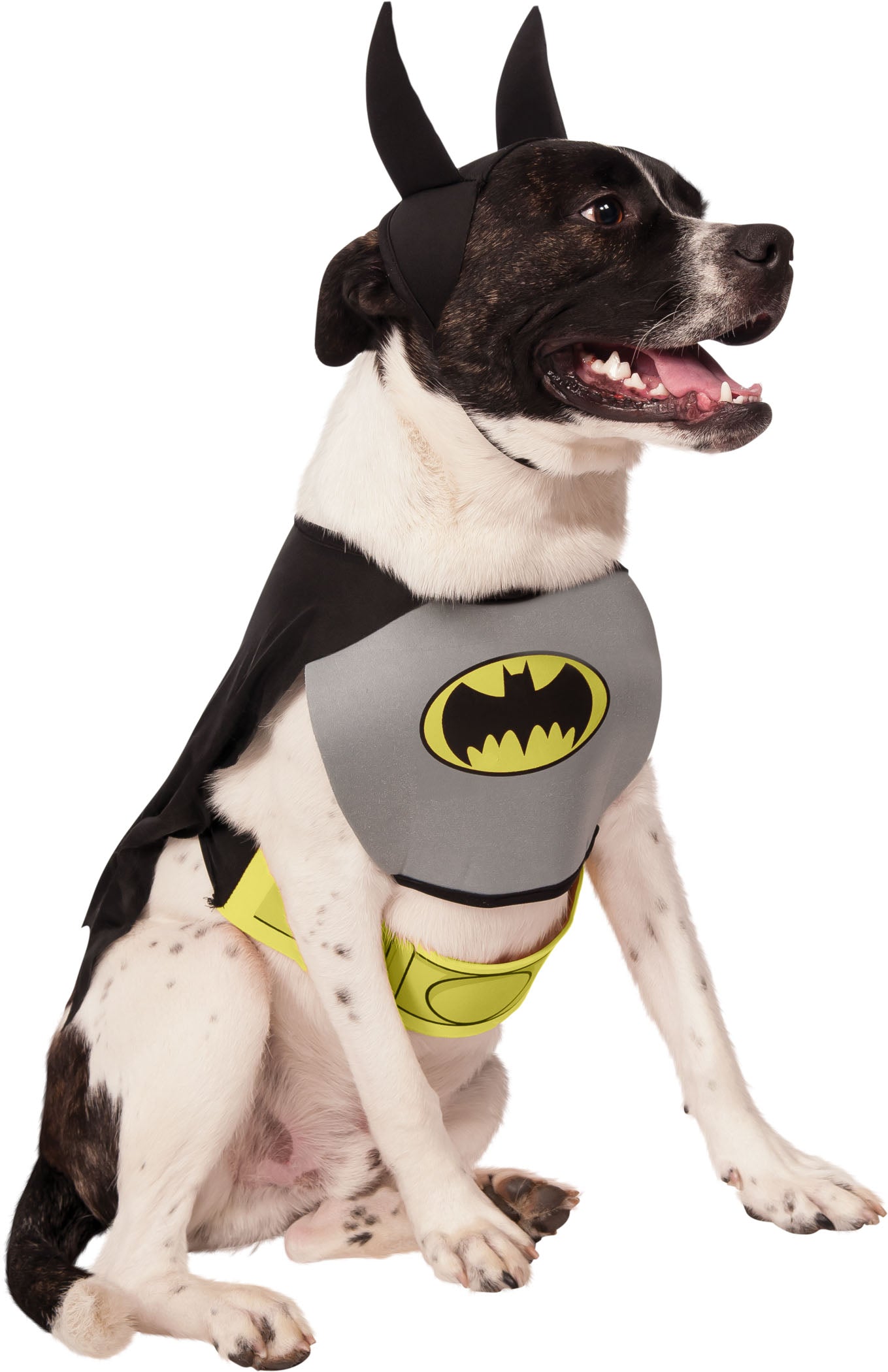 DC Comics Classic Batman Pet Costume Superheros