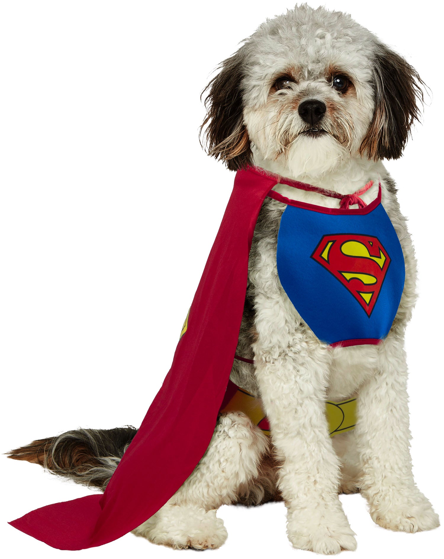 DC Comics Superheros Superman Pet Costume X-Large
