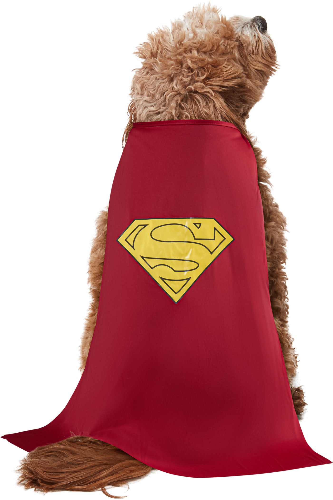 DC Comics Superheros Superman Pet Costume X-Large