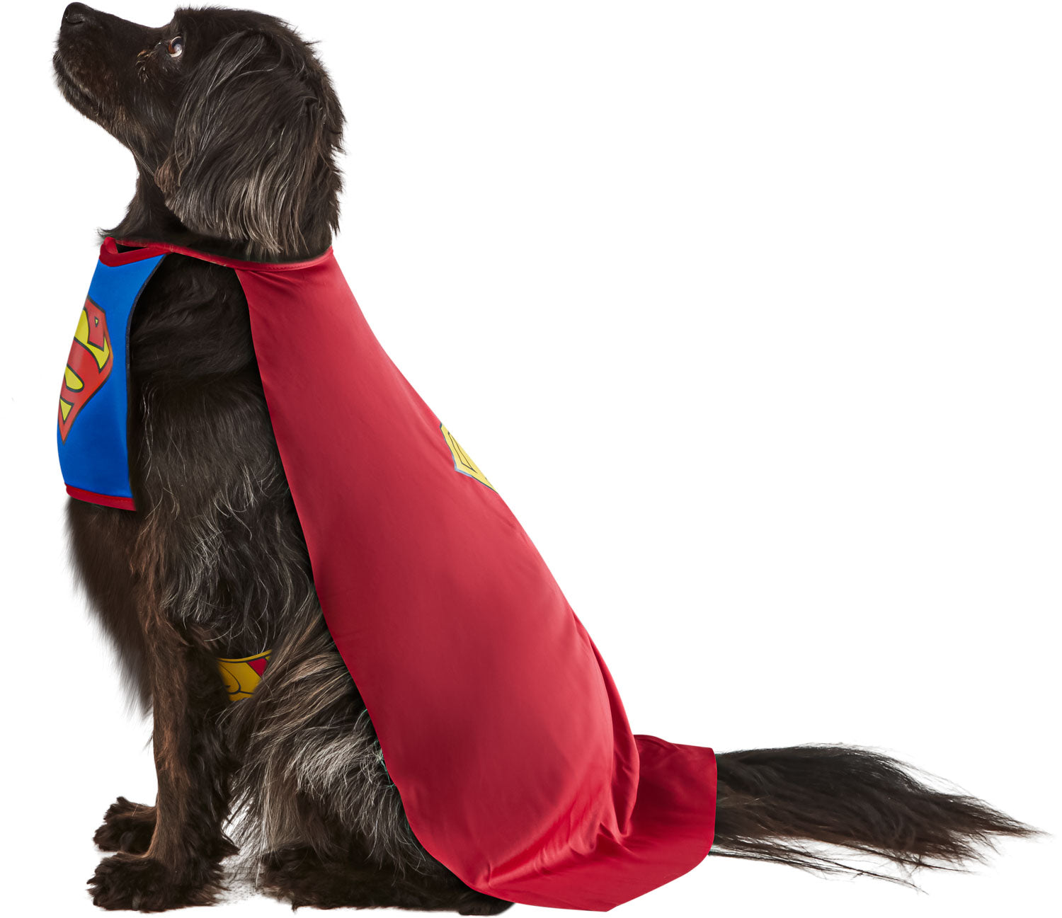 DC Comics Superheros Superman Pet Costume X-Large