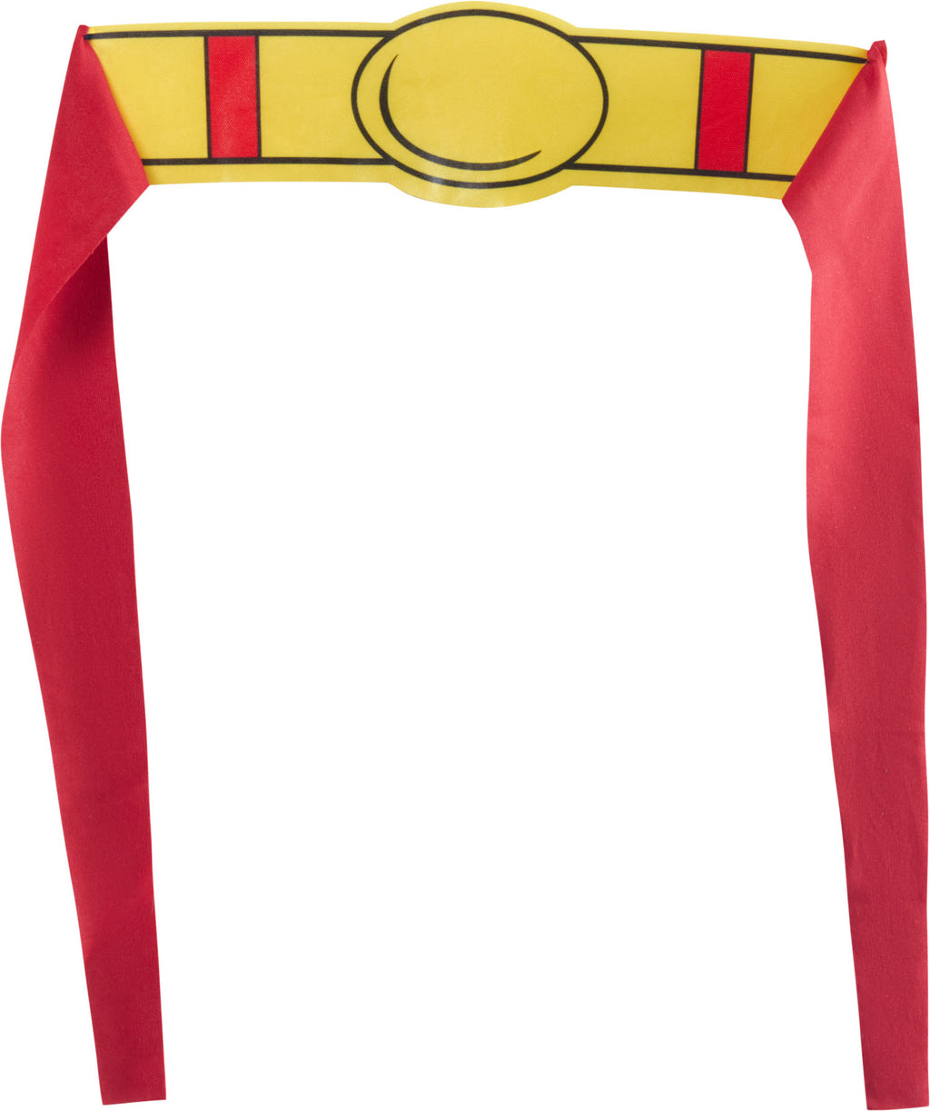 DC Comics Superheros Superman Pet Costume X-Large