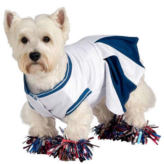 Cheerleader Pet Costume Size Medium