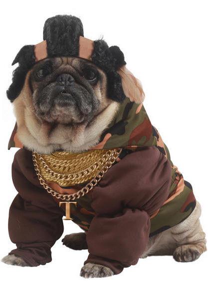 Pity the Fool Pet Costume Size Small