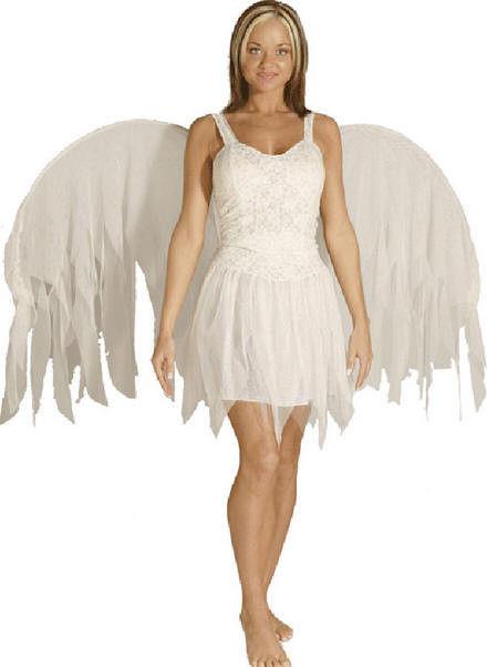 Women's Angel Fairy Adult Costume Size Standard 8-12