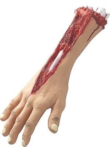 Gory Dismembered Cut-off Arm Halloween Prop