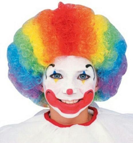 Multi-Color Clown Wig Child or Adult