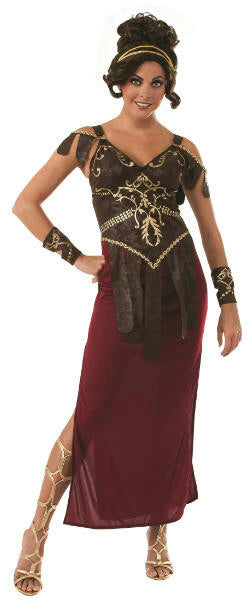 Glamazon Adult Medieval Warrior Costume Size Standard up to 12