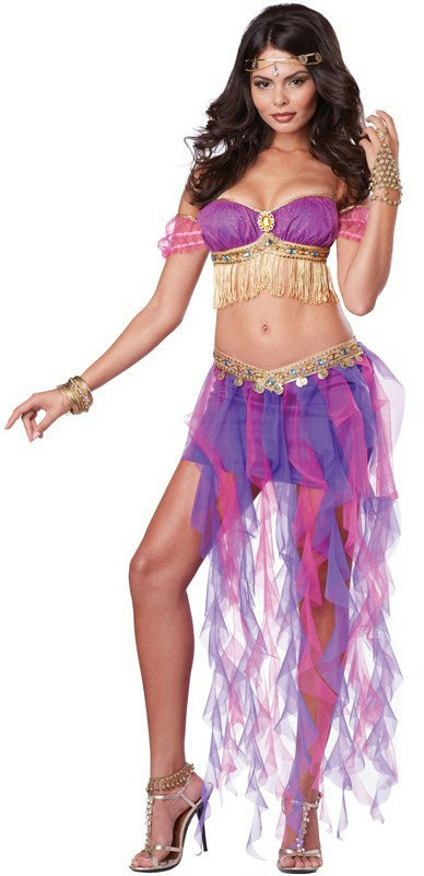 Pink & Purple Belly Dancer Sexy Adult Costume Medium 8-10